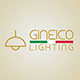Custom logo designs for lightning companies. Gineico. Best logo design service in Pakistan. 